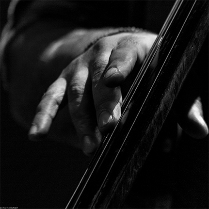Exposition All that Jazz Photo de Thierry Meunier